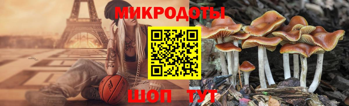 Галлюциногенные грибы Magic Shrooms  Псилоцибиновые грибы Cubensis  Гусь-Хрустальный  Вход с VPN 